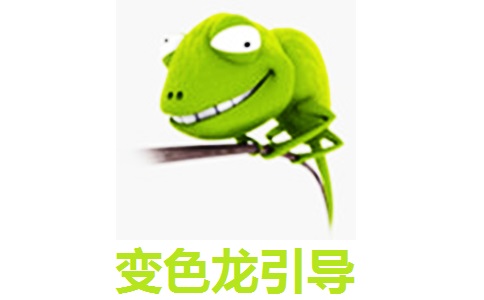 变色龙引导2.2.8.1 正式版