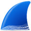 wireshark64位最新版 v2.2.1绿色版