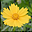 Neat Image  v8.5.1.0 官方版