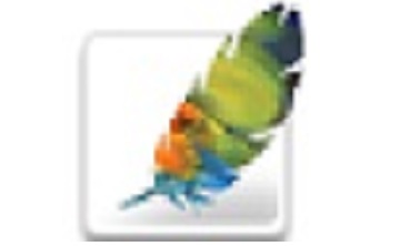 PhotoShop8.0中文版