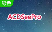 ACDSeePro正式版