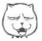 猥琐猫QQ表情包 v完整版 官方版