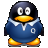 清风QQ显IP工具  v1.0 官方版