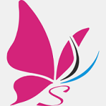 花蝶app网盘 1.0
