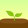 Forest专注森林 v4.74.2官网版