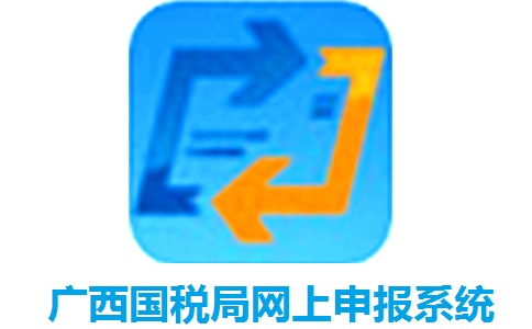 广西国税局网上申报系统1.0 官方版