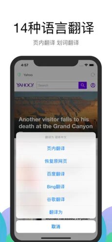 Alook浏览器安卓版截图3